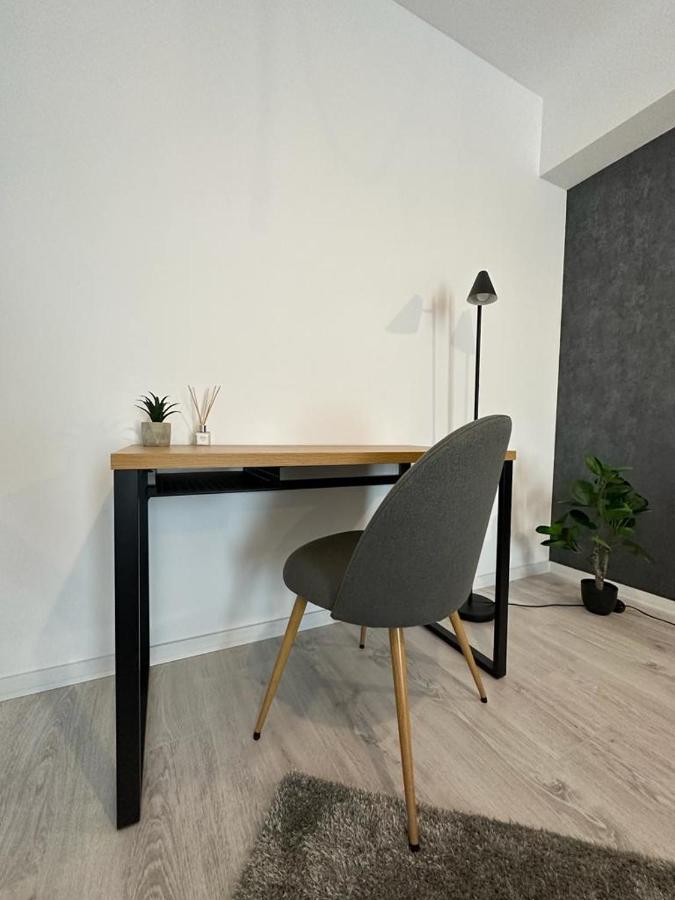 City Center Accommodation - 308 ريشيتسا المظهر الخارجي الصورة